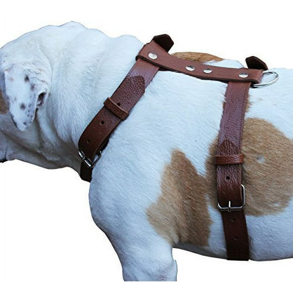 Brown Genuine Tooled Leather Dog Harness Large. 27"-37" Chest, 1.25" Wide Straps Pitbull, Boxer
