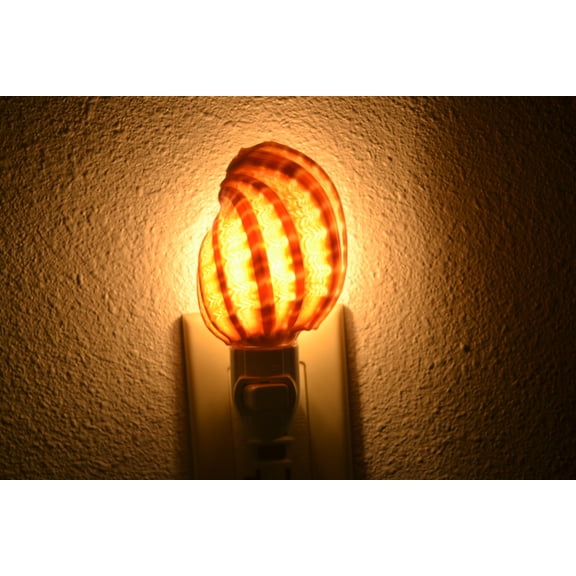 Brown Harpa Sea Shell Nightlight
