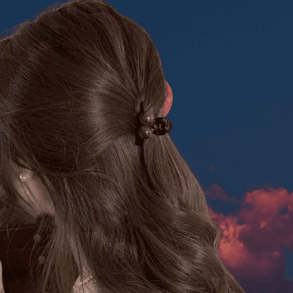 Brown High Grade Small Hairpin Shawl Clip Half Updo Short Hair Accessories