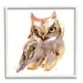 thumbnail image 1 of Brown Horned Owl Eye Wink Minimal Bird Animals & Insects Framed Art Print Wall Art, 17x17, 1 of 7