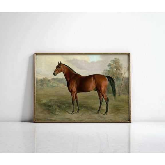Brown Horse Wall Art, Moody Brown Horse Art poster, Vintage Rustic Equestrian, Cottage Core Victorian Farmhouse Equine Decor Unframed Paper Print