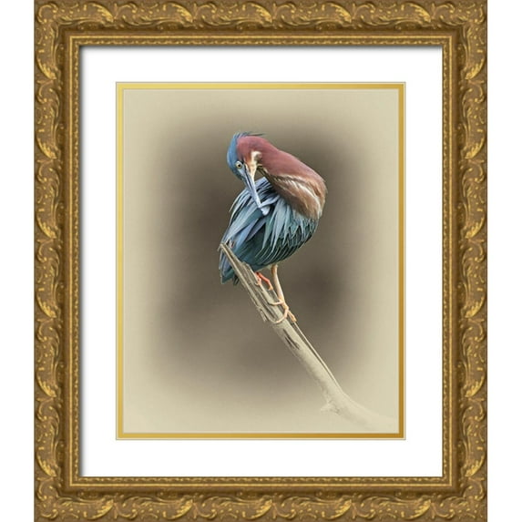 Brown, Jim 12x14 Gold Ornate Wood Framed with Double Matting Museum Art Print Titled - Green Heron