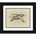 thumbnail image 1 of Brown, Jim 14x12 Black Ornate Wood Framed with Double Matting Museum Art Print Titled - Brown Pelicans, 1 of 4
