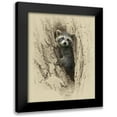 thumbnail image 1 of Brown, Jim 15x18 Black Modern Framed Museum Art Print Titled - Baby Raccoon, 1 of 5