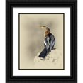 thumbnail image 1 of Brown, Jim 15x18 Black Ornate Wood Framed with Double Matting Museum Art Print Titled - Anhinga, 1 of 4