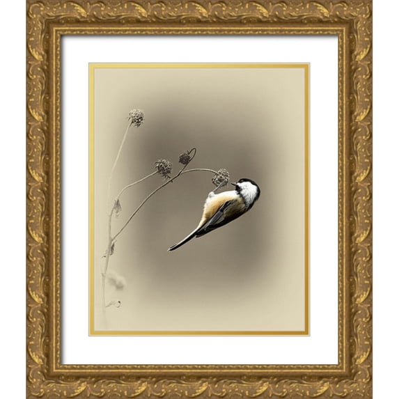Brown, Jim 15x18 Gold Ornate Wood Framed with Double Matting Museum Art Print Titled - Black Capped Chickadee 2