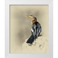thumbnail image 1 of Brown, Jim 20x24 White Modern Wood Framed Museum Art Print Titled - Anhinga, 1 of 4
