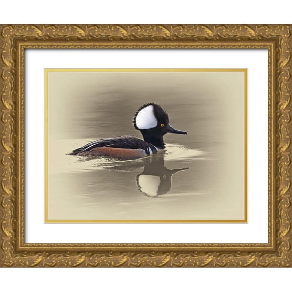 Brown, Jim 24x19 Gold Ornate Wood Framed with Double Matting Museum Art Print Titled - Hooded Merganser