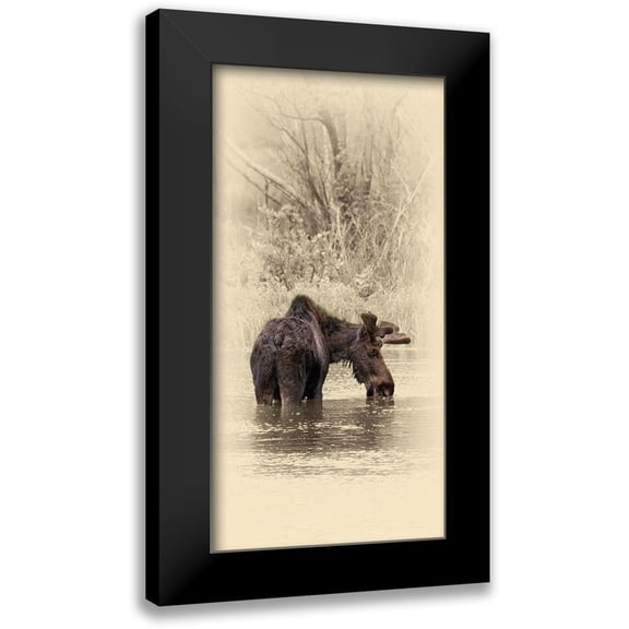 Brown, Jim 9x14 Black Modern Framed Museum Art Print Titled - Moose II