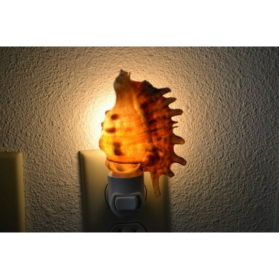 Brown Lambis Sea Shell Nightlight
