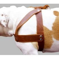 Brown Leather Dog Harness, Large. 28"-34" Chest, 1.5" Wide Straps, Rottweiler Bulldog