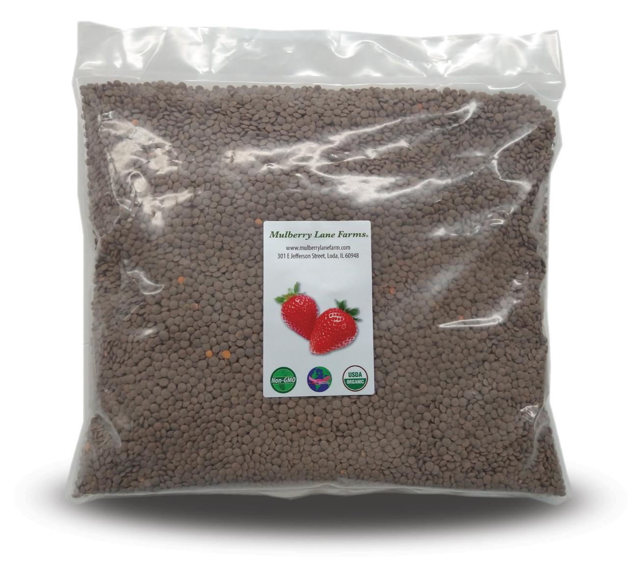 Brown Lentils, Small, 5 Pounds (Five lbs) USDA Certified Organic, Non-GMO, Bulk, by Mulberry Lane Farms
