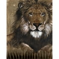 thumbnail image 1 of Brown Lion Poster Print by Patricia Pinto, 1 of 1
