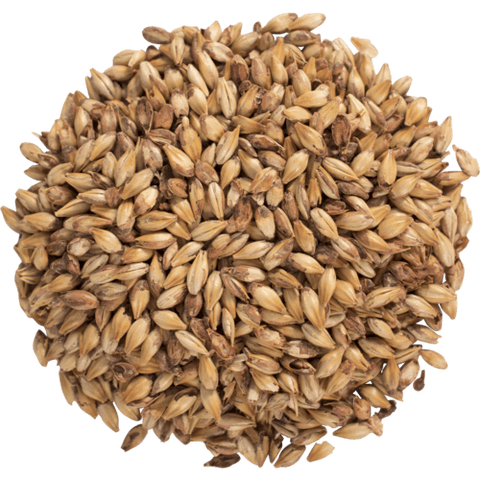 Brown Malt 45L for Brewing Specialty Malted Barley for Beer Making, Home Brewing, Mash Ingredients & Dark Beer Recipes 1 lb - CRUSHED (Pre-Milled)