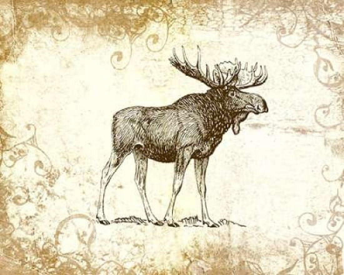 Brown Moose Canvas Art - Tara Moss (24 x 30)