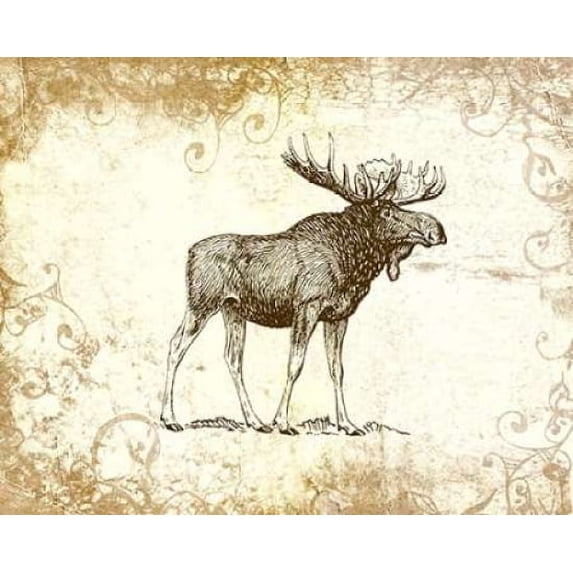 Brown Moose Poster Print by Tara Moss (24 x 30)