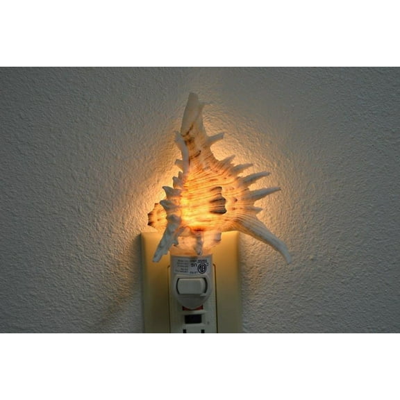 Brown Murex Sea Shell Nightlight