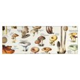 thumbnail image 1 of Brown Mushroom Label Light Pattern Kitchen Rug Mat,Kitchen Runner Rugs Non Skid Washable,Decorative Kitchen Floor Mats for Kitchen,Sink,Laundry,17"X47", 1 of 5