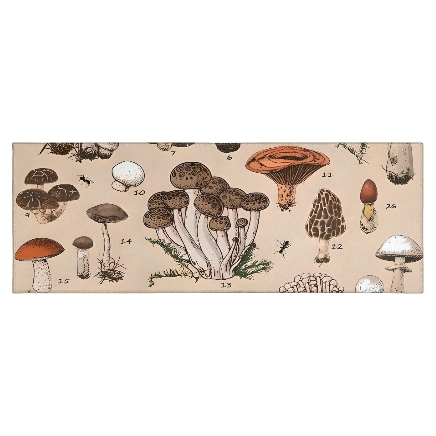 Brown Mushroom Specimen Beige Pattern Kitchen Rug Mat,Kitchen Runner ...