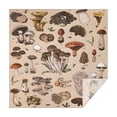 thumbnail image 1 of Brown Mushroom Specimen Beige Pattern Square Tablecloth,Waterproof Square Table Cover,Wipeable Spillproof Washable Table Cover for Home Kitchen Party Decor 42"X42"(107x107cm), 1 of 1