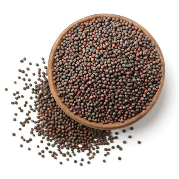 NY SPICE SHOP Brown Mustard Seeds Sarso Whole - 1 Pound