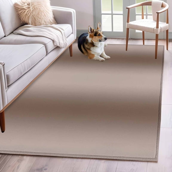 Brown Ombre Area Rug 3x5 Washable Rug Non Slip Modern Abstract Art Farmhouse Gradient Large Area Rug Indoor Floor Carpet for Entryway Bedroom Kitchen Living Room Home Office Dining Room Nursery