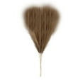 thumbnail image 1 of Brown Pampas Grass - 22 Inch Faux Pampas Grass Decor, Short Artificial Pampas Grass for Christmas Decoration, Wedding, Party, Halloween and Home Centerpieces Decor (Brown), 1 of 5