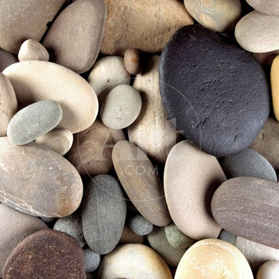 Brown Pebbles, Unframed Photographic Print Wall Art Sold by Art.Com