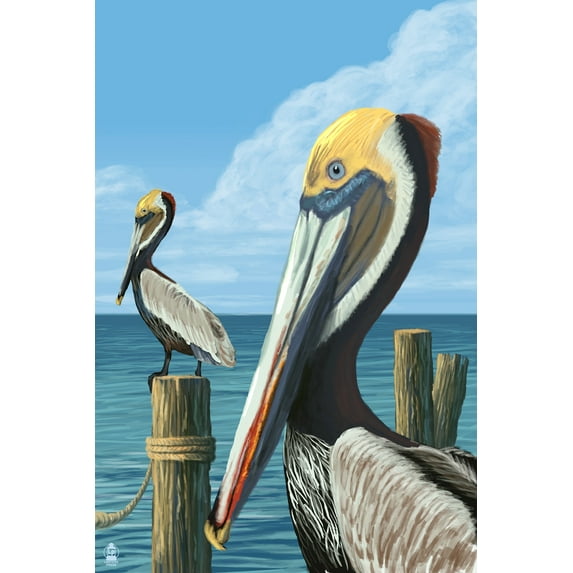 Brown Pelican (16x24 Giclee Gallery Art Print, Vivid Textured Wall Decor)