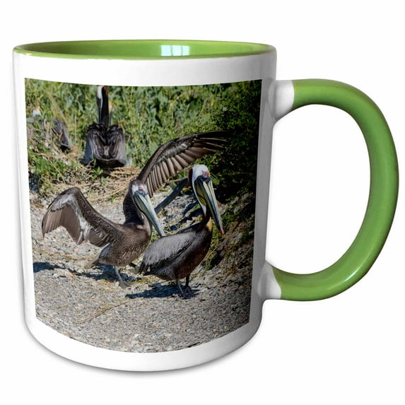 3drose, Brown Pelican, Pelecanus Occidentalis Young and Adult in Colony, 15oz Two-tone Green Mug