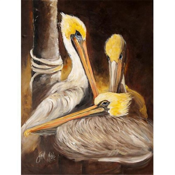 Brown Pelicans Flag Garden Size