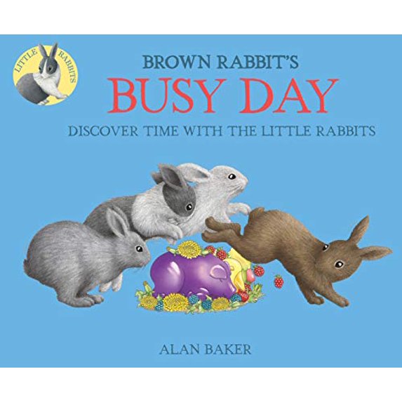 Pre-Owned Brown Rabbit's Busy Day (Paperback) 0753473569 9780753473566