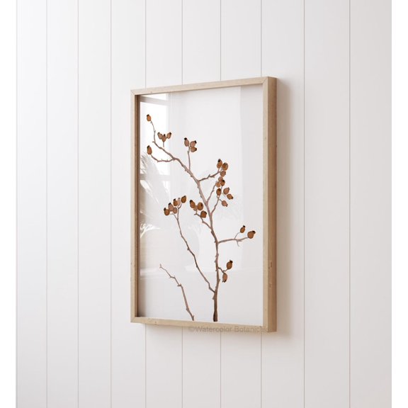 Brown Rose Hip Branch Botanical Wall Art Poster Unframed Paper Print