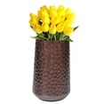thumbnail image 1 of Brown Rustic Iron Flower Plant Centerpiece Hammered Vase, 1 of 9
