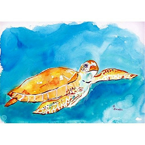 Brown Sea Turtle Door Mat 30x50