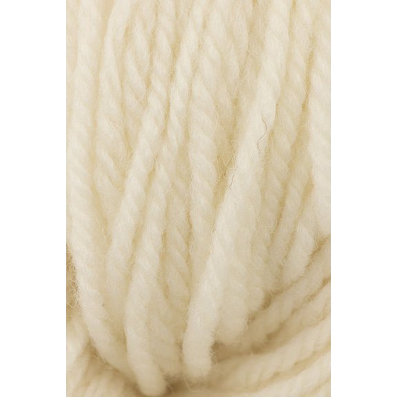 Brown Sheep - Prairie Spun DK Knitting Yarn - Half & Half (# 05)