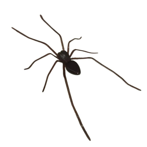 Brown Simulation Spider Fridge Magnet Clearance! Kaireo 3D Realistic Fridge Magnets Halloween Decorations Strong Fridge Magnets for Home/ Lifelike Design