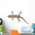 thumbnail image 1 of Brown Spotted Gecko Reptile Wall Decal by Wallmonkeys Peel and Stick Graphic (24 in W x 16 in H) WM158058, 1 of 4