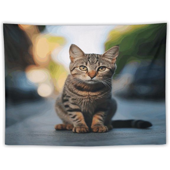 Brown Tabby Kitten Printed Tapestry, Personalized Tapestries Wall Decor for Bedroom Living Room Dorm, 30x40 Inches