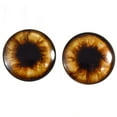 thumbnail image 1 of Brown Teddy Bear Glass Eyes, 1 of 7