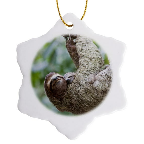 3drose, Brown-throated Sloth Wildlife, Corcovado Costa Rica - Sa22 Jgs0015 - Jim Goldstein, 3 inch Snowflake Porcelain Ornament