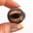 thumbnail image 1 of Brown Toad Frog Glass Eyes, 1 of 6