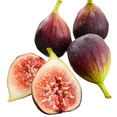 thumbnail image 1 of Brown Turkey Fig Tree – Live Fruit Tree for Home Garden and Patio, 1 of 6