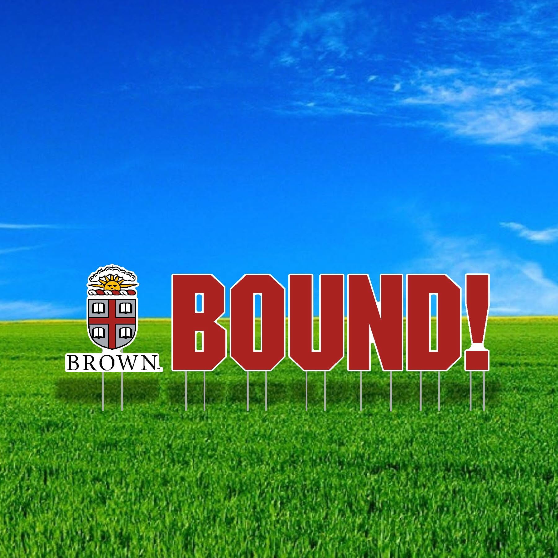 Brown University BOUND Mascot Yard Sign Set