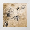 thumbnail image 1 of Brown, Victoria 15x15 White Modern Wood Framed Museum Art Print Titled - Grape Vine, 1 of 4