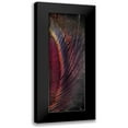 thumbnail image 1 of Brown, Victoria 9x18 Black Modern Framed Museum Art Print Titled - Fused Peacock 3, 1 of 5