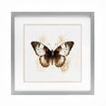 thumbnail image 1 of Stupell Industries Brown Washed Moth Gray Framed Print Under Glass, design by Creative Studio, 13 x 13, 1 of 10