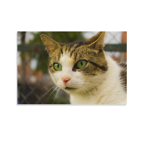 Brown And White Tabby Cat Face Spotted Green Eyed Domestic Cat Poster Decorative Painting Canvas Wall Art Living Room Posters Bedroom Painting,Unframe-style,16x24inch(40x60cm)