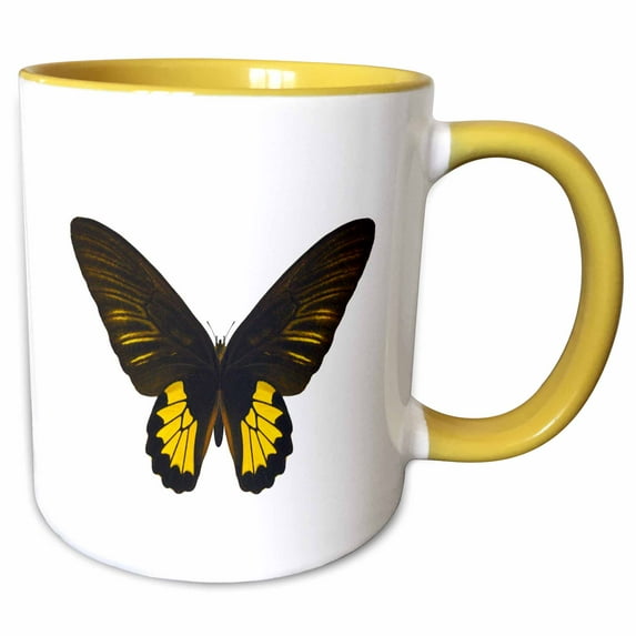 Brown and Bright Yellow Butterfly Photograph 15oz Two-Tone Yellow Mug mug-210817-13