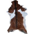 thumbnail image 1 of Brown and White Goat Hide Rug | Luxurious Hair-On Leather for Unique Rustic Interiors, 1 of 5